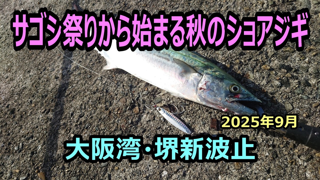 表層爆速巻きはダメ？　 釣れないときはこの釣り方！