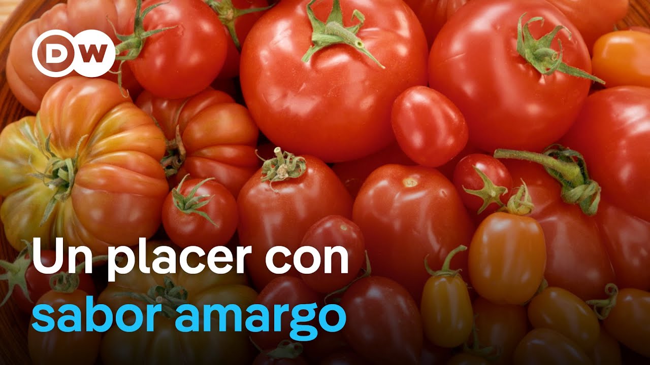 ¿Son sostenibles los tomates? | DW Documental