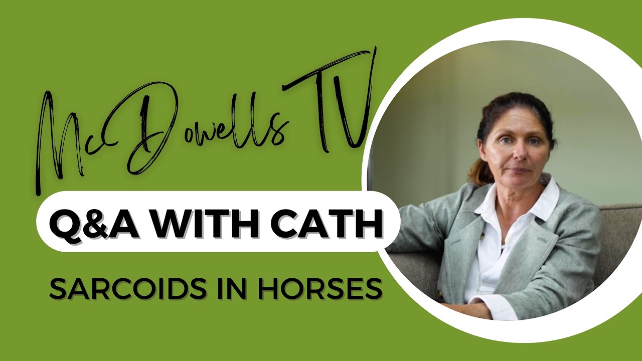 Understanding sarcoids in horses: causes, symptoms & treatment - Q & A with Cath McDowell #sarcoids
