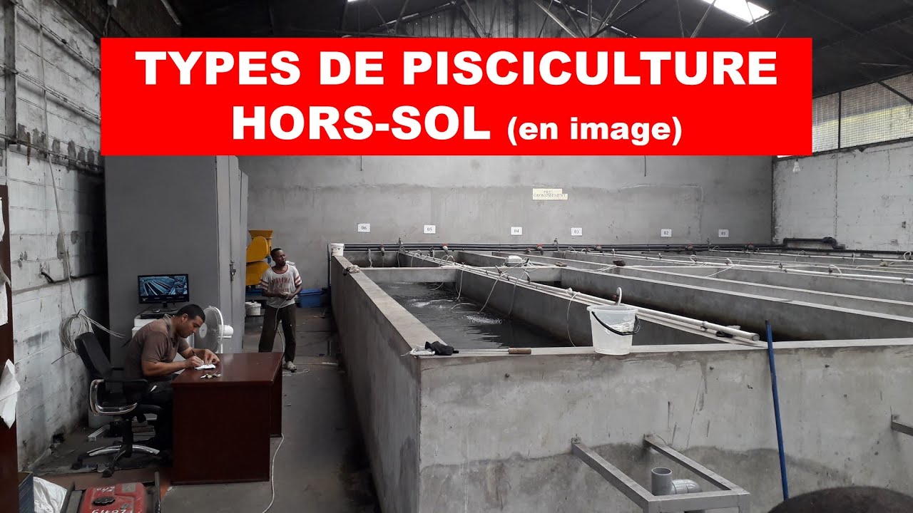 Types de pisciculture hors-sol (en image)