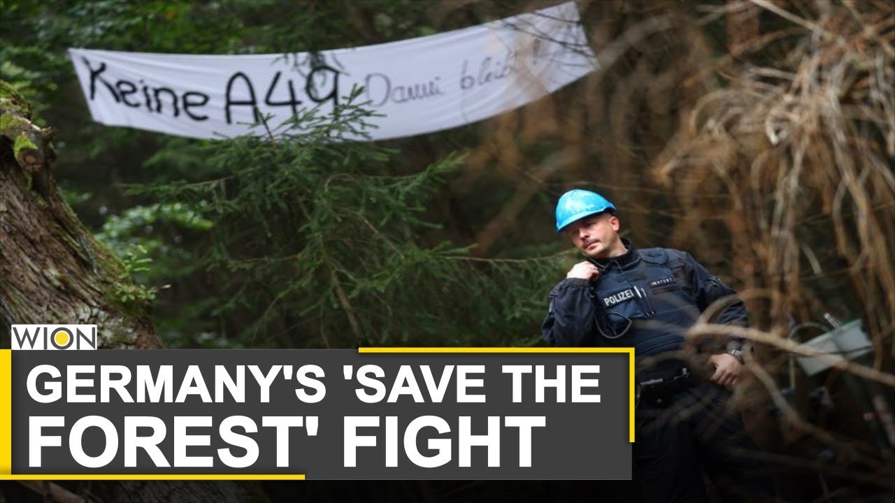 Germany: Activists sleep in tree-houses to stop felling of trees to build motorway | Dannenrod