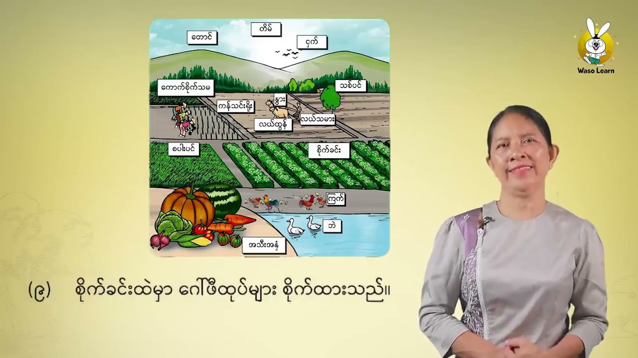 တတိယတန်း ရုပ်ပုံကြည့်ကာစာရေးပါ