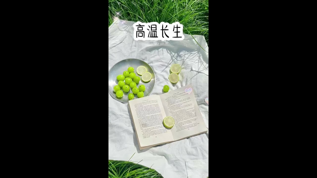 #女生必看 #宝藏小说 #二次元 #原神#第五人格