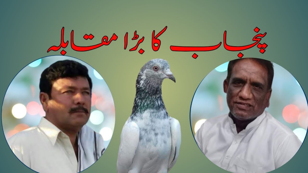Khalifa naveed vs ustad akmal khan piplan