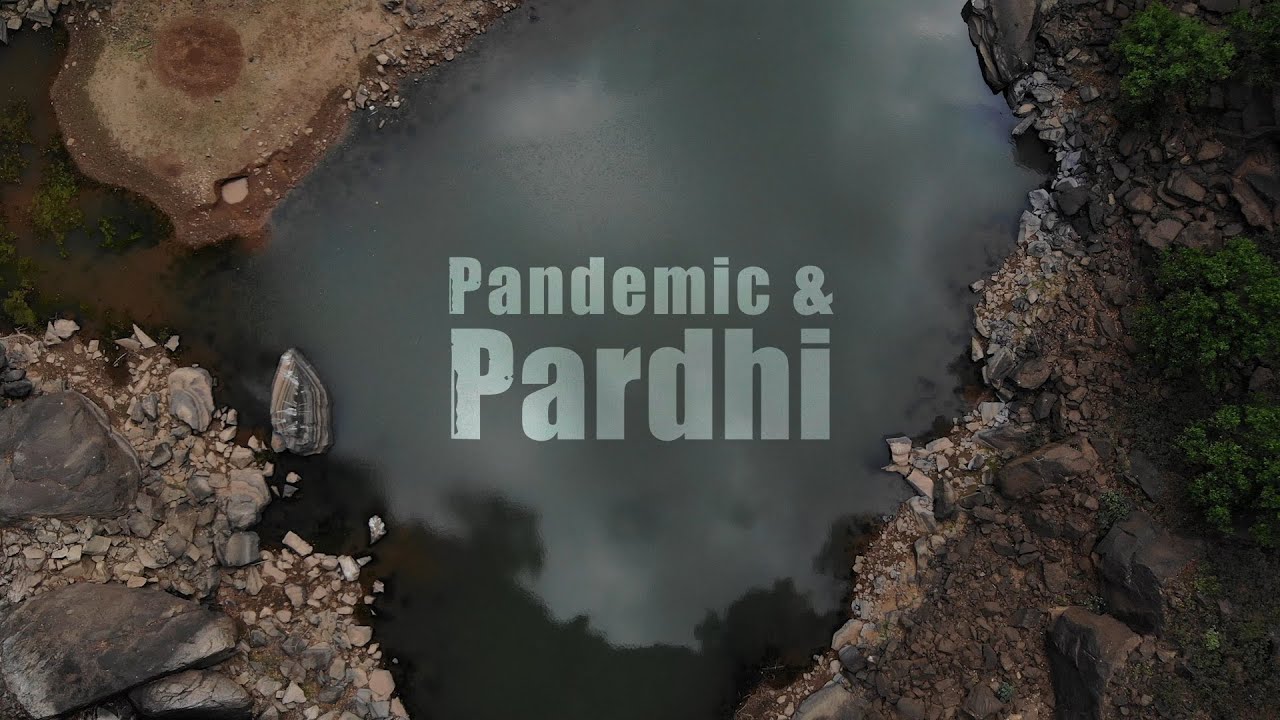 Pandemic & Pardhi