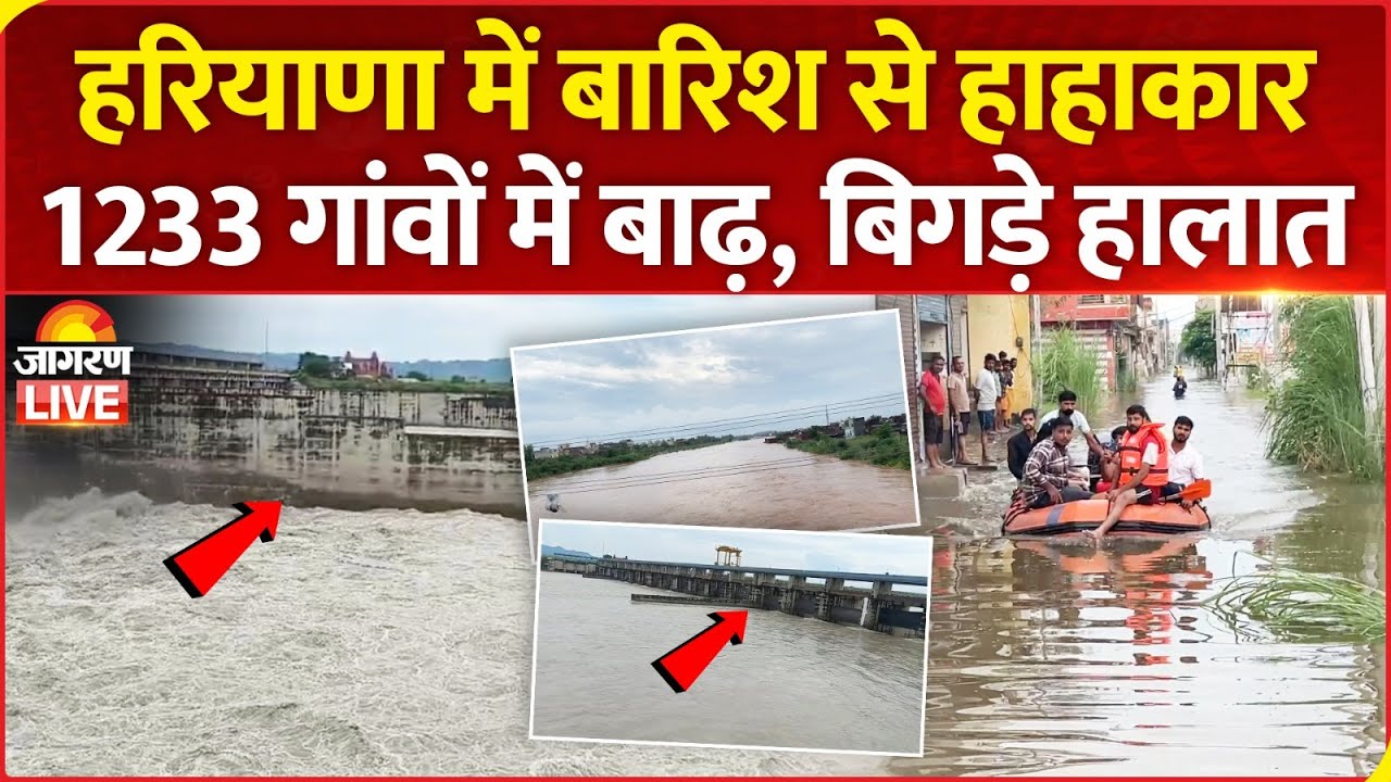 Haryana Flood LIVE | हरियाणा के 1233 गांवों में बाढ़, बिगड़े हालात | Ambala | Yamunanagar | News