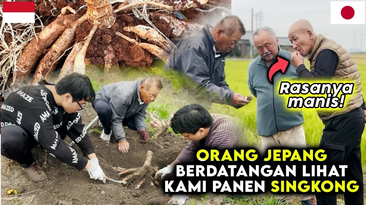 REAKSI ORANG JEPANG MAKAN SINGKONG MENTAH
