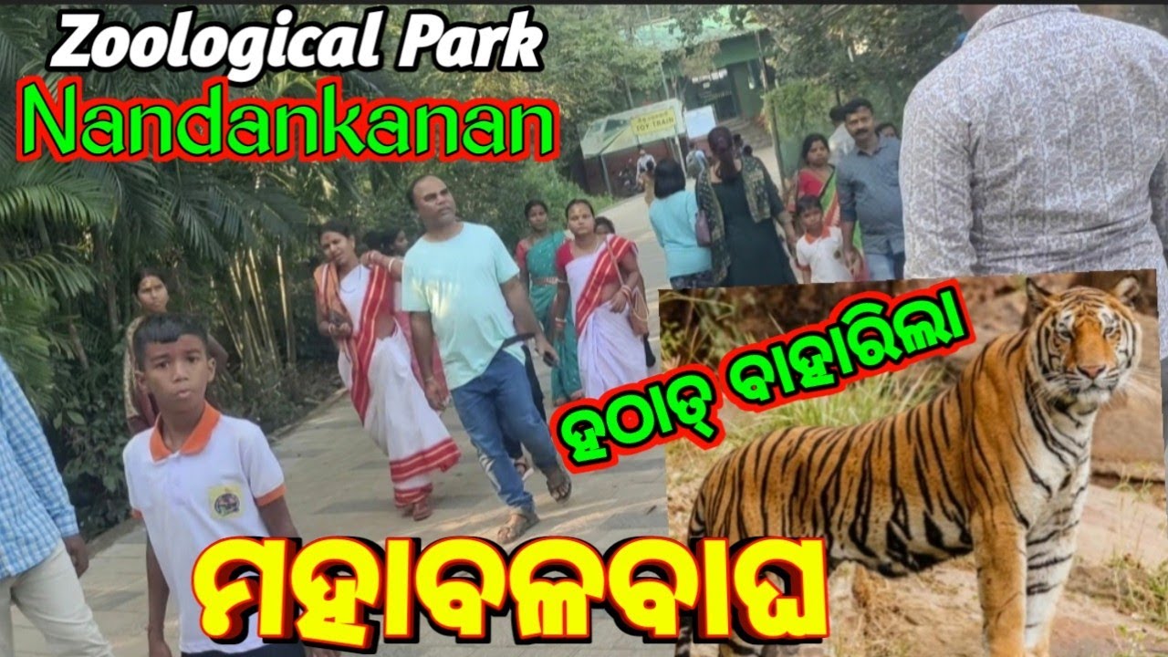Nandankanan Zoological Park Bhubaneswar 2025 November ନନ୍ଦନକାନନ ଭୁବନେଶ୍ଵର 