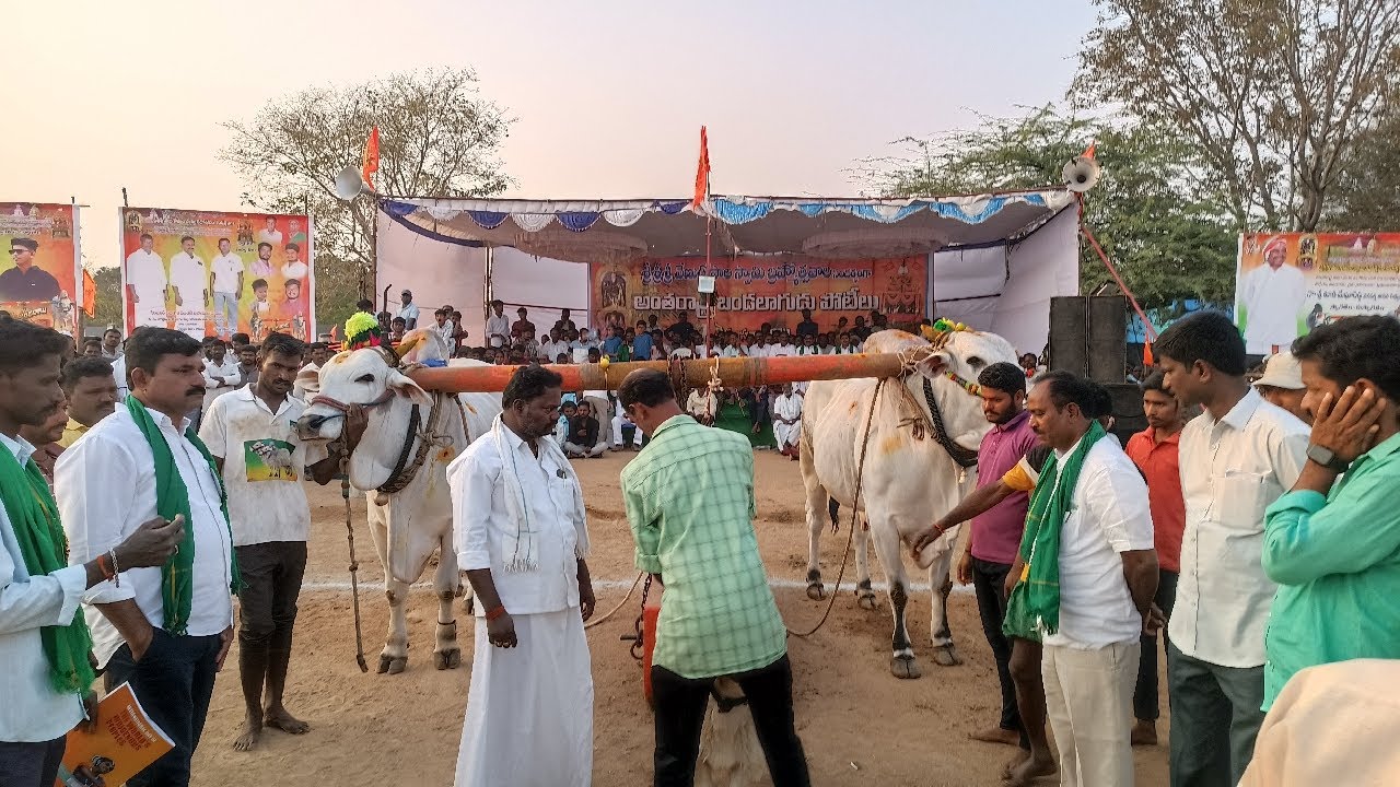 చెలిమిల్ల కిష్టారెడ్డిపేట సీనియర్స్ విభాగం 8వ జత గోపాలకృష్ణ పెద్దదగడ