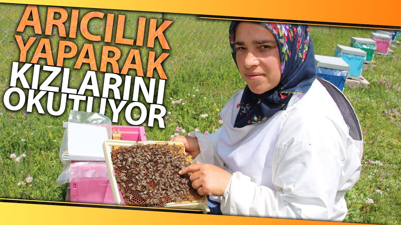 Üç Çocuk Annesi Kadın Arıcılık Yaparak Kızlarını Okutuyor