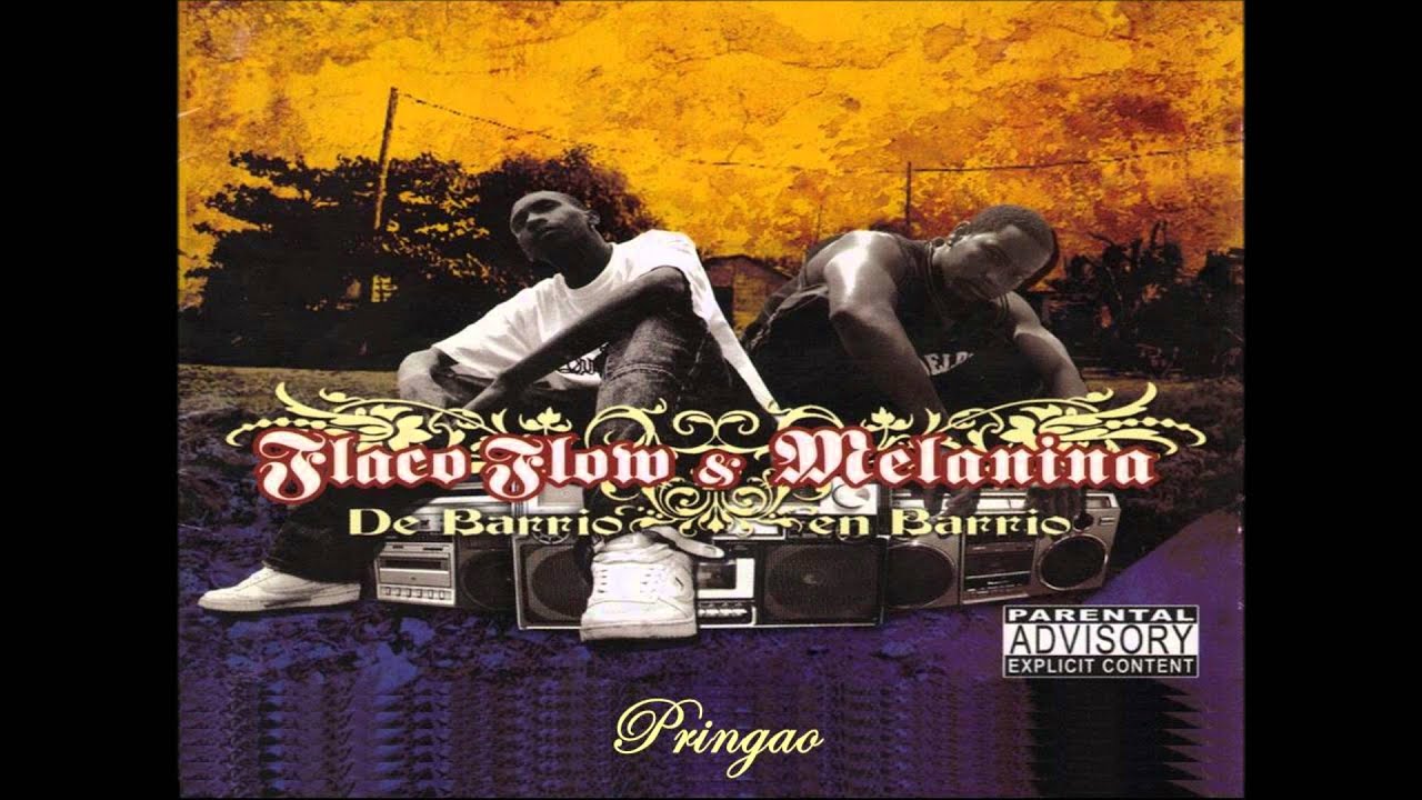 Flaco Flow y Melanina - Pringao (Audio)