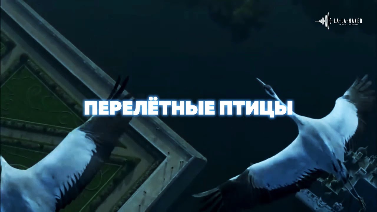 Перелётные птицы | слова А. Пасюгин | музыка В. Шестопалов