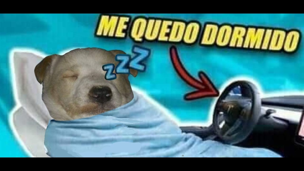 chart.mp4