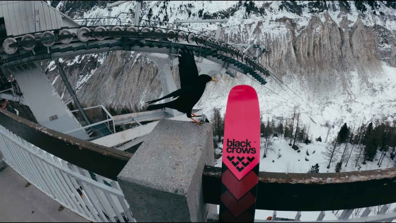 the renewed power of pink - under the reign of Corvus V