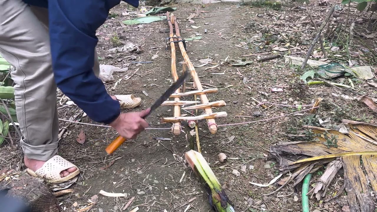 	“How People Made Wild Animal Traps in the Past | Forest Survival Stories”