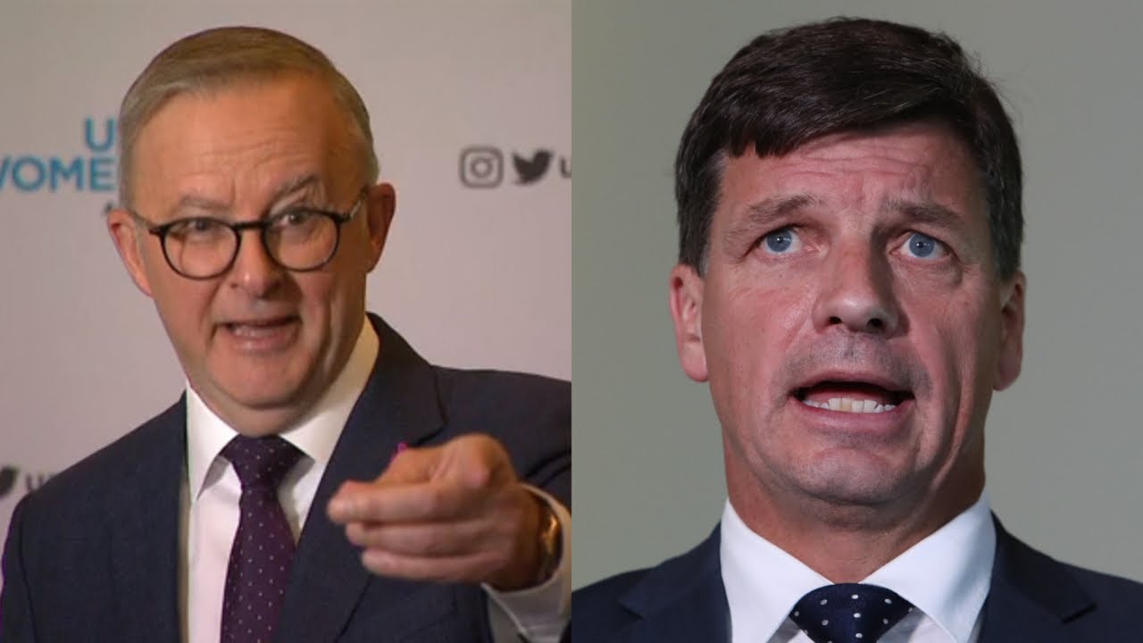 &lsquo;Lightweight but dense&rsquo;: Anthony Albanese slams Angus Taylor