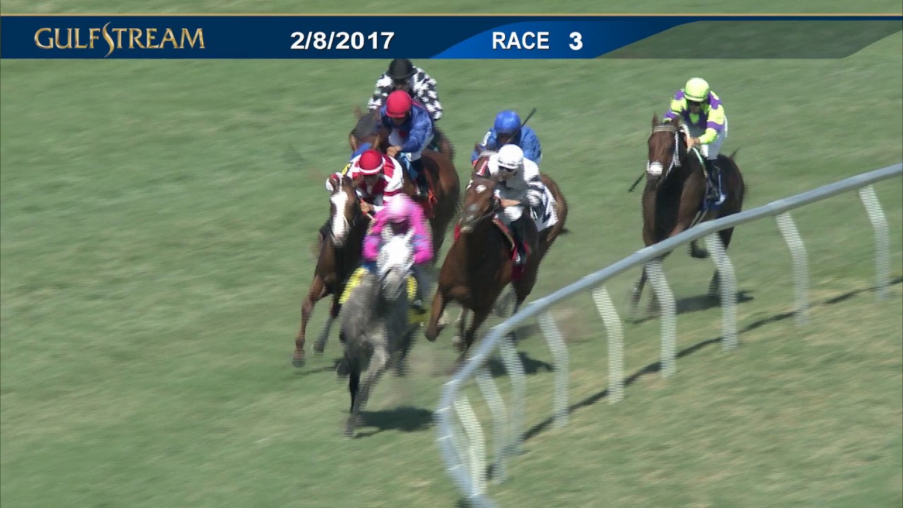 Gulfstream Park Race 3 | February 8, 2017