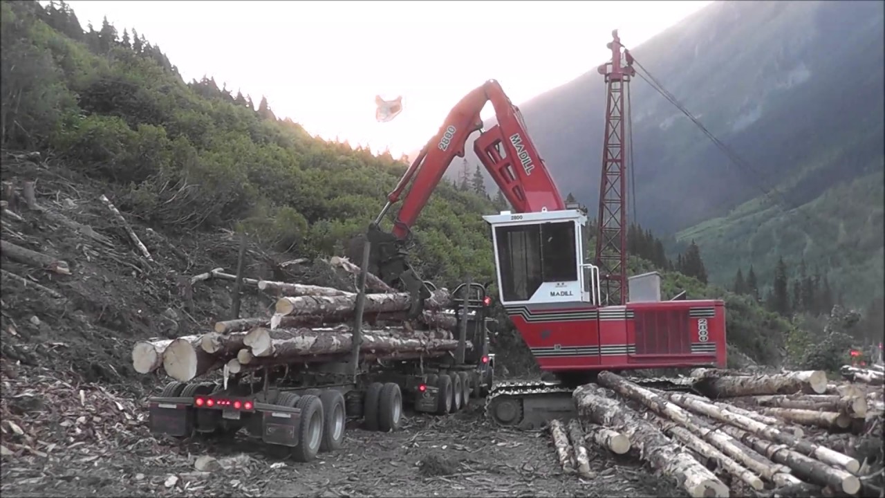 Loading a logging truck