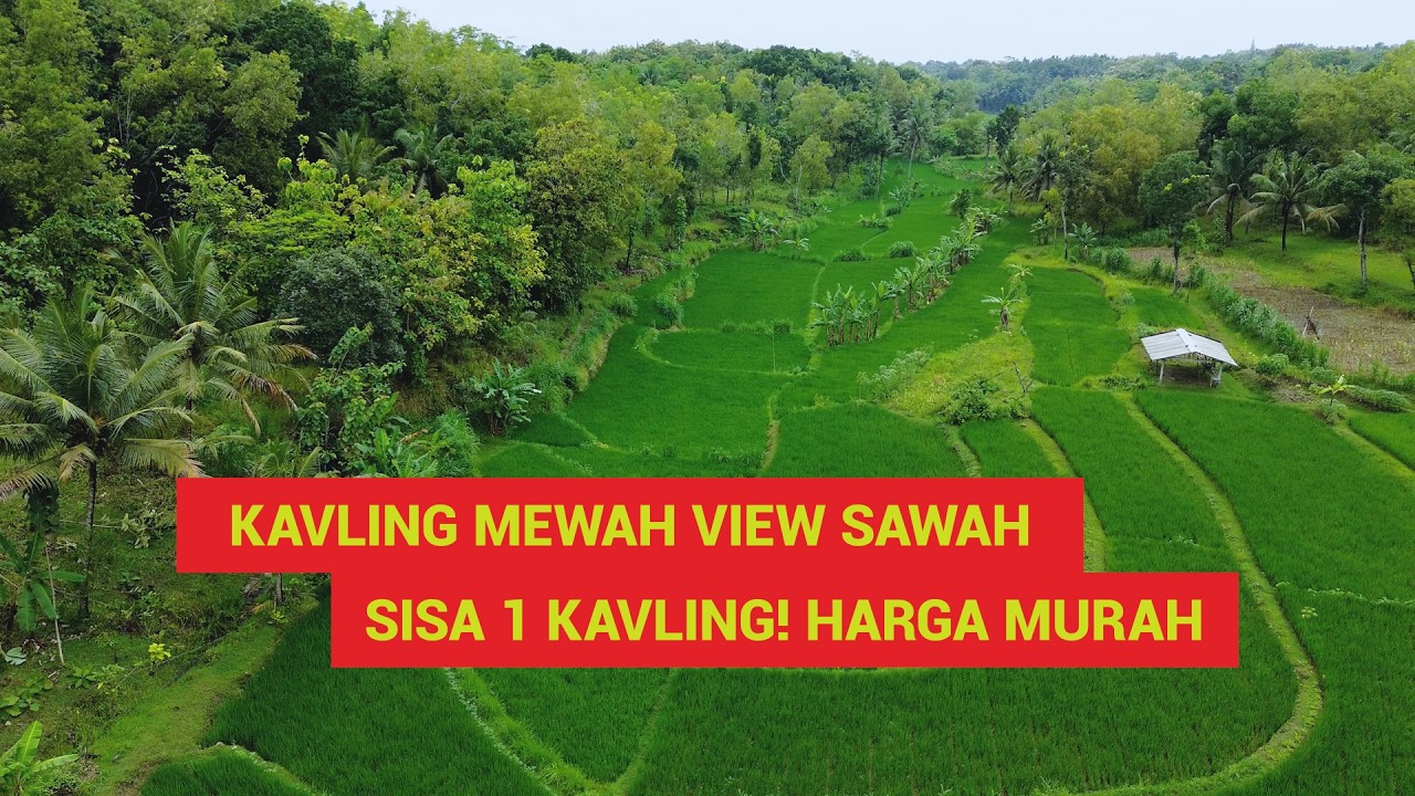 Kavling Mewah Sisa 1 Kavling! View Sawah Harga Murah Cocok Untuk Hunian Di Masa Tua