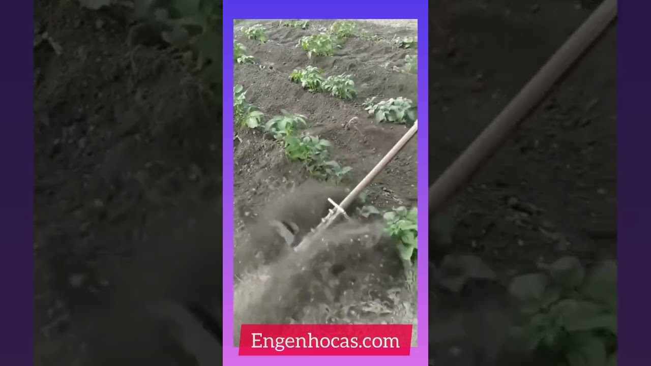 Dispositivo Inovador para arar Terra