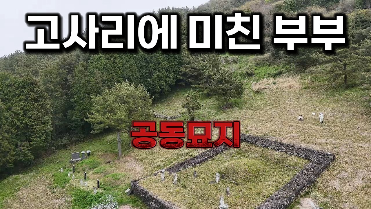 왜 출근 전에? 제주 부부의 특별한 고사리 사랑