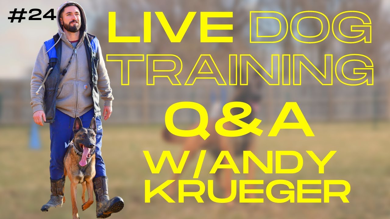 A Tired Dog Is NOT A Happy Dog! DOG TRAINING Q&A W/ ANDY KRUEGER #24