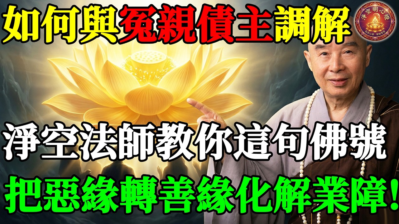 淨空法師：如何與冤親債主調解？老和尚教你念「這句佛號」，把惡緣轉善緣化解累劫業障！#淨空法師 #淨空明心燈 #阿彌陀佛 #淨土宗 #因果報應 #感情 #無量壽經 #冤親債主 #正能量