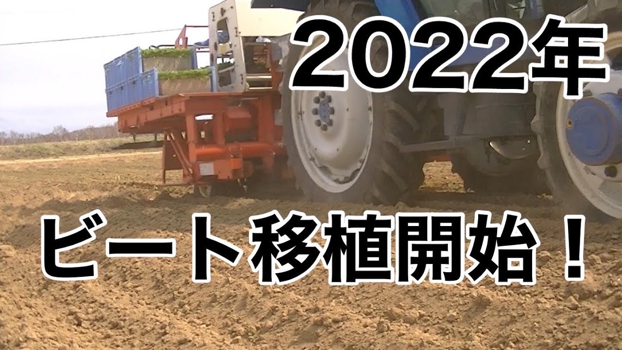 ＫＯＫＯ農園ビート移植