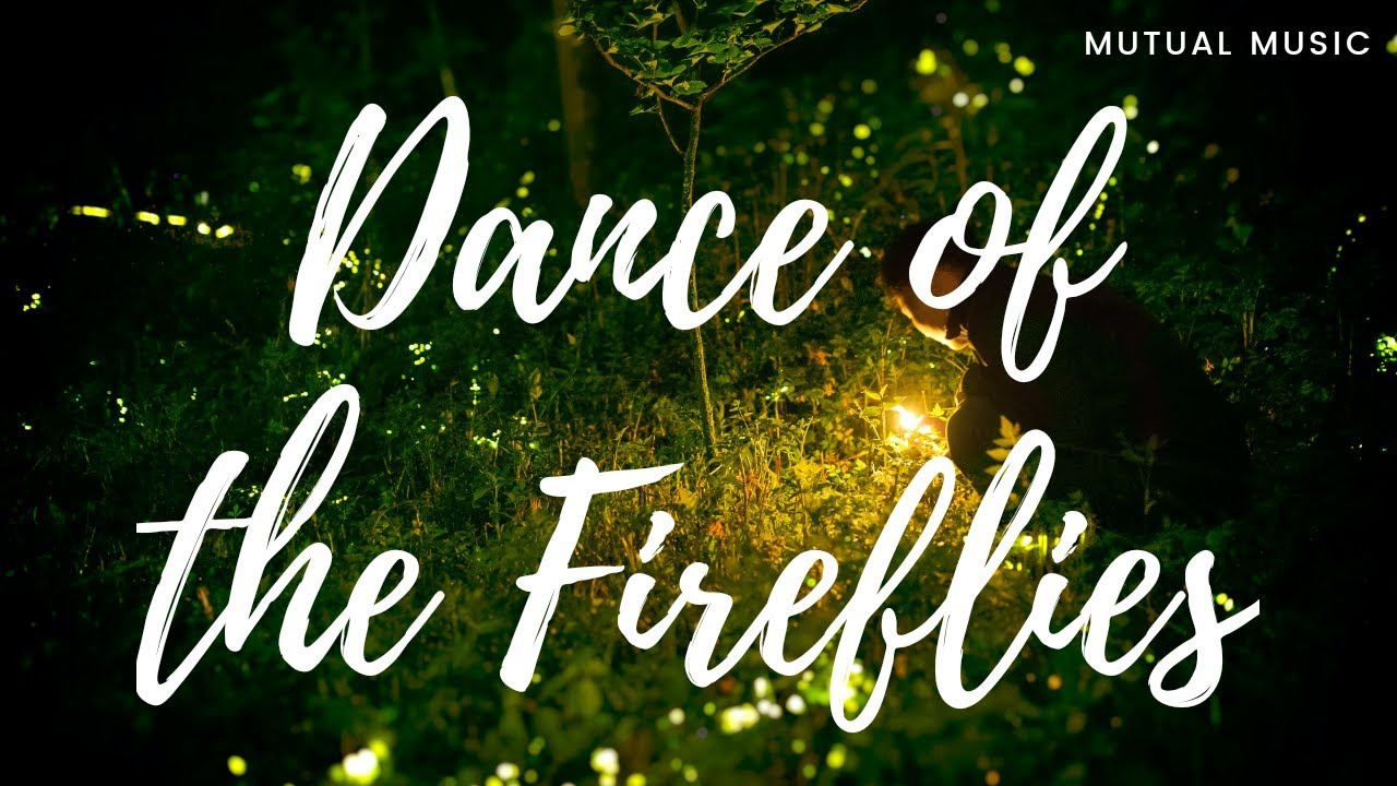 Dance of the Fireflies | Nathan Moore