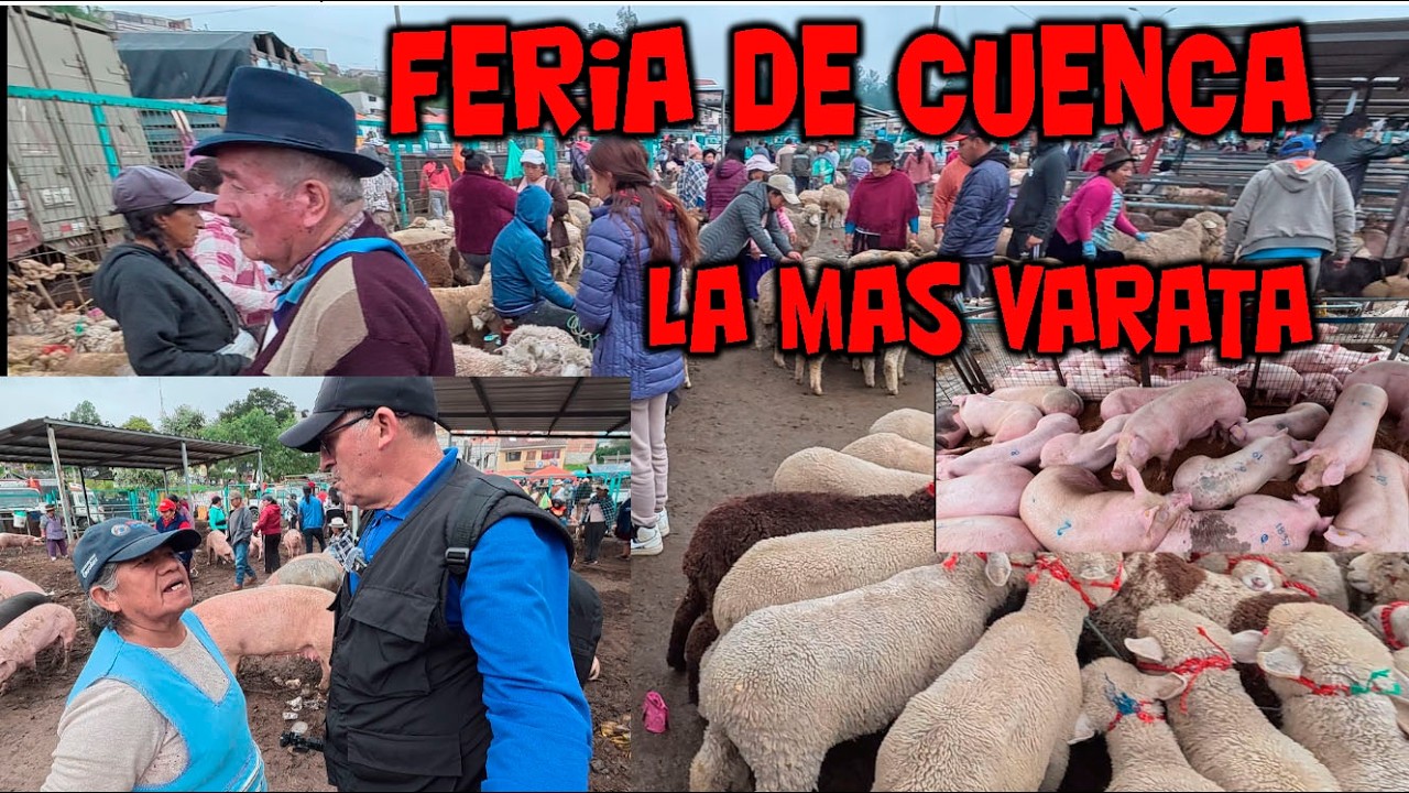 FERIA DE ANIMALES MAS VARATA CUENCA AZUAY Y LA MAS GRANDE  DE LA PROVINCIA