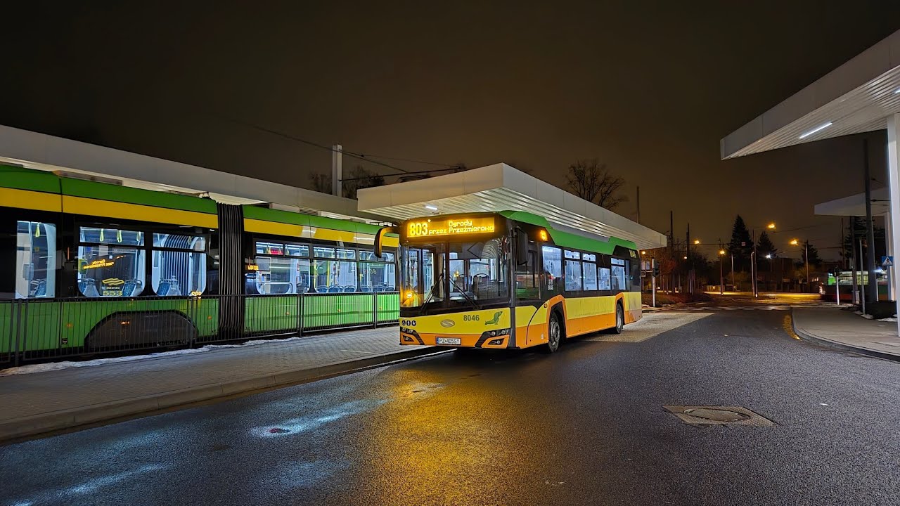 TP BUS Tarnowo Podgórne - Solaris Urbino 12IV #8046 - Linia 803 kierunek: Ogrody (opis)