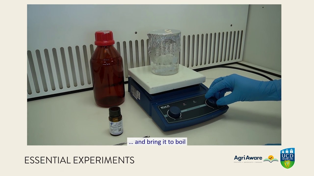 Essential Experiments Series_2021 Milk Quality _ EXPERIMENT 18