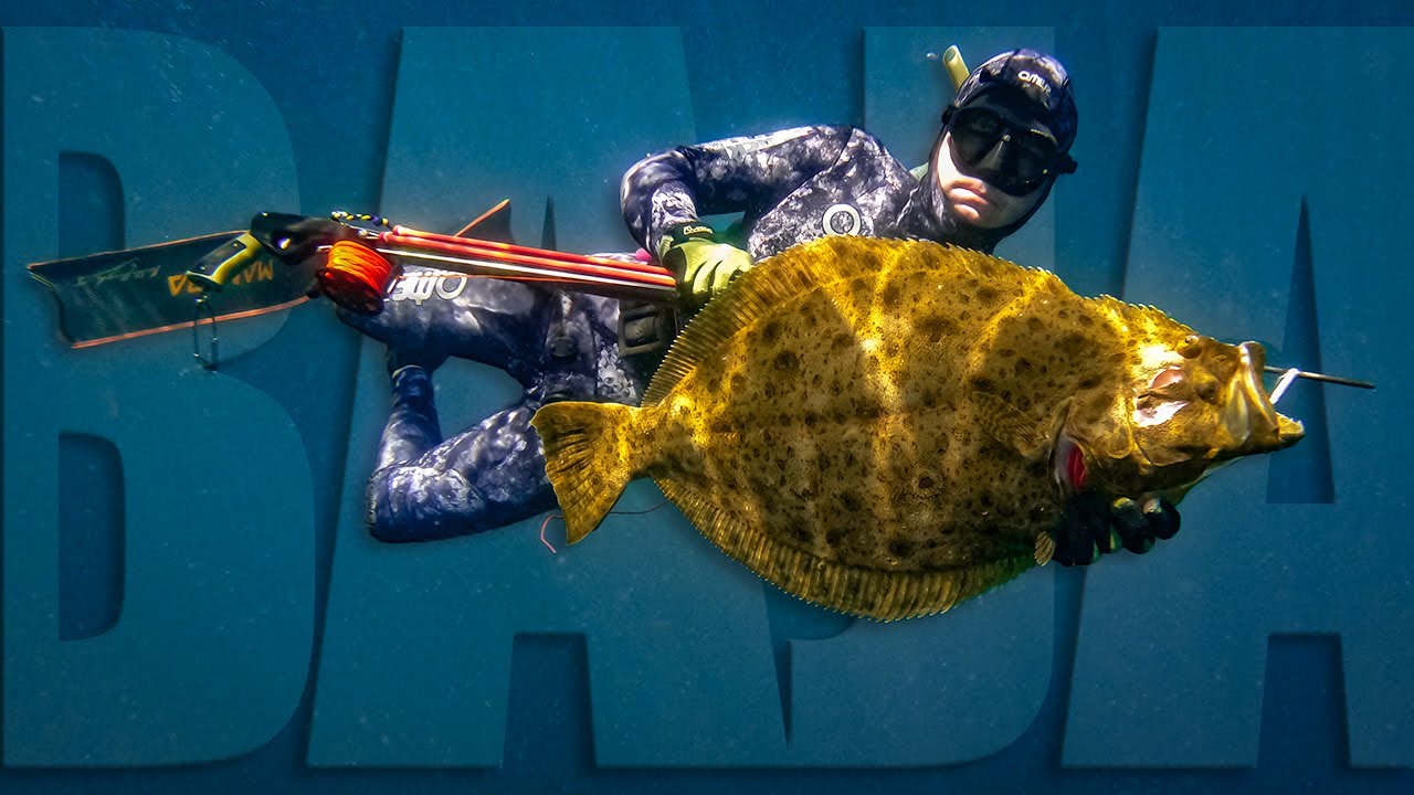 Spearfishing for DREAM FISH in Baja Mexico (7 Day Road trip Part 2)
