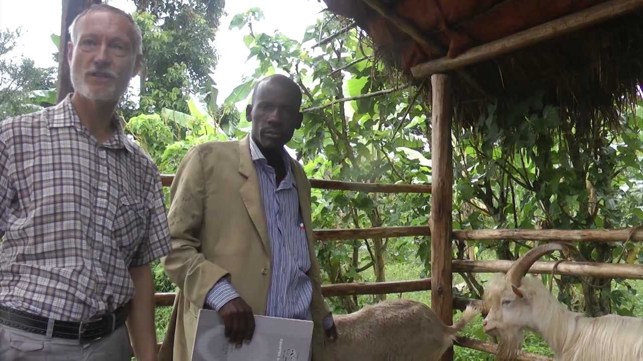 More About the Breeding Programme - JOY Goat Development Programme