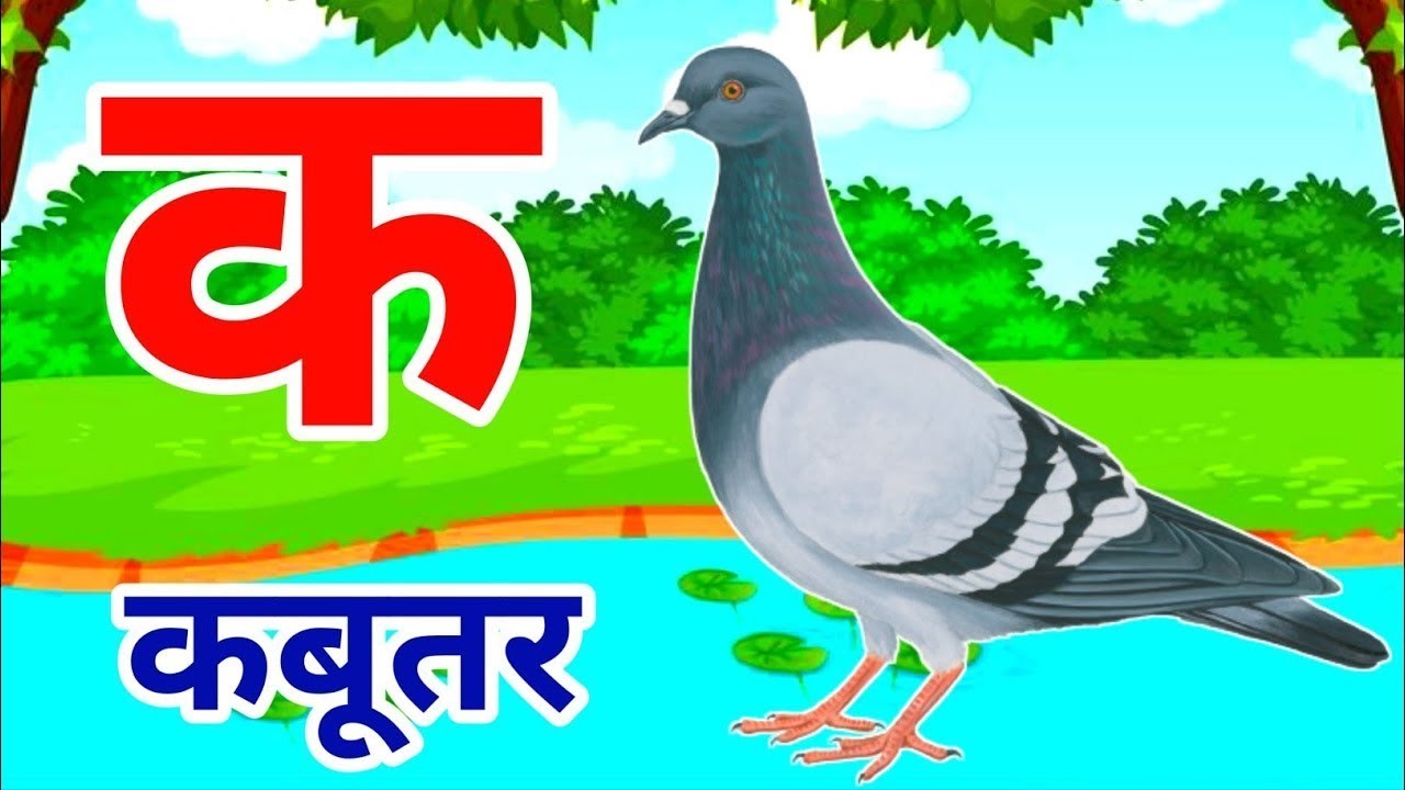 K se kabutar, क से कबूतर, ख से खरगोश 
