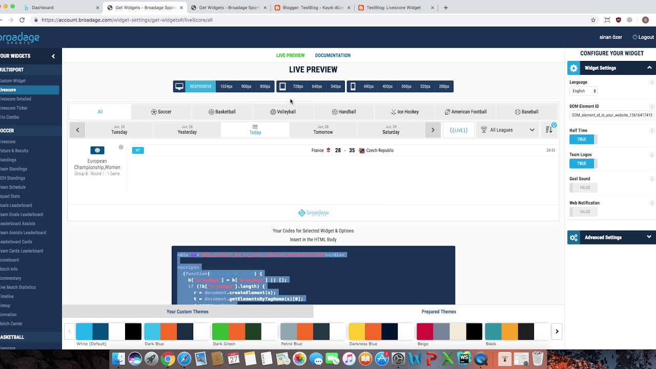 Broadage Sports Widgets: How to Place the Widget on your Website
