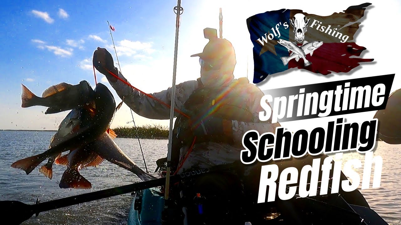 🎣 An Epic Day of Redfish Action | Rizado Minnow Debut & Pro Fishing Tips! 🐟🔥