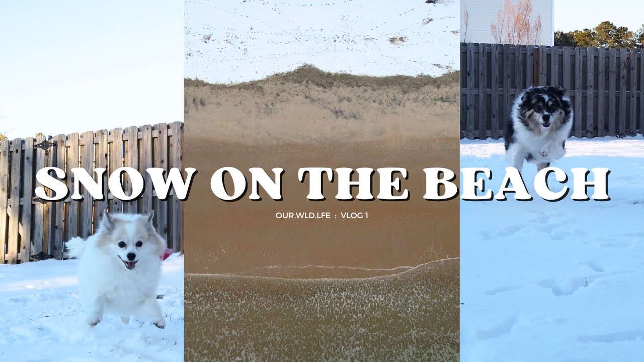 We can't believe it SNOWED on the Beach!