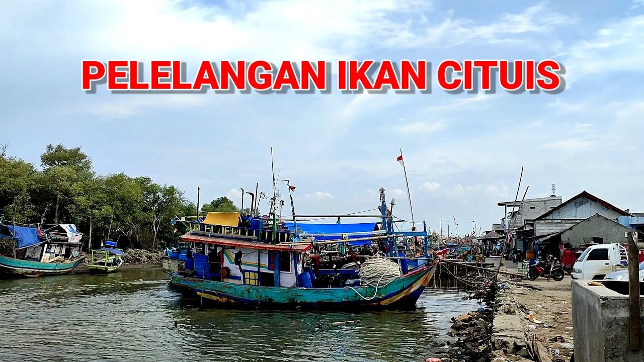 PELELANGAN IKAN CITUIS PAKUHAJI TANGERANG