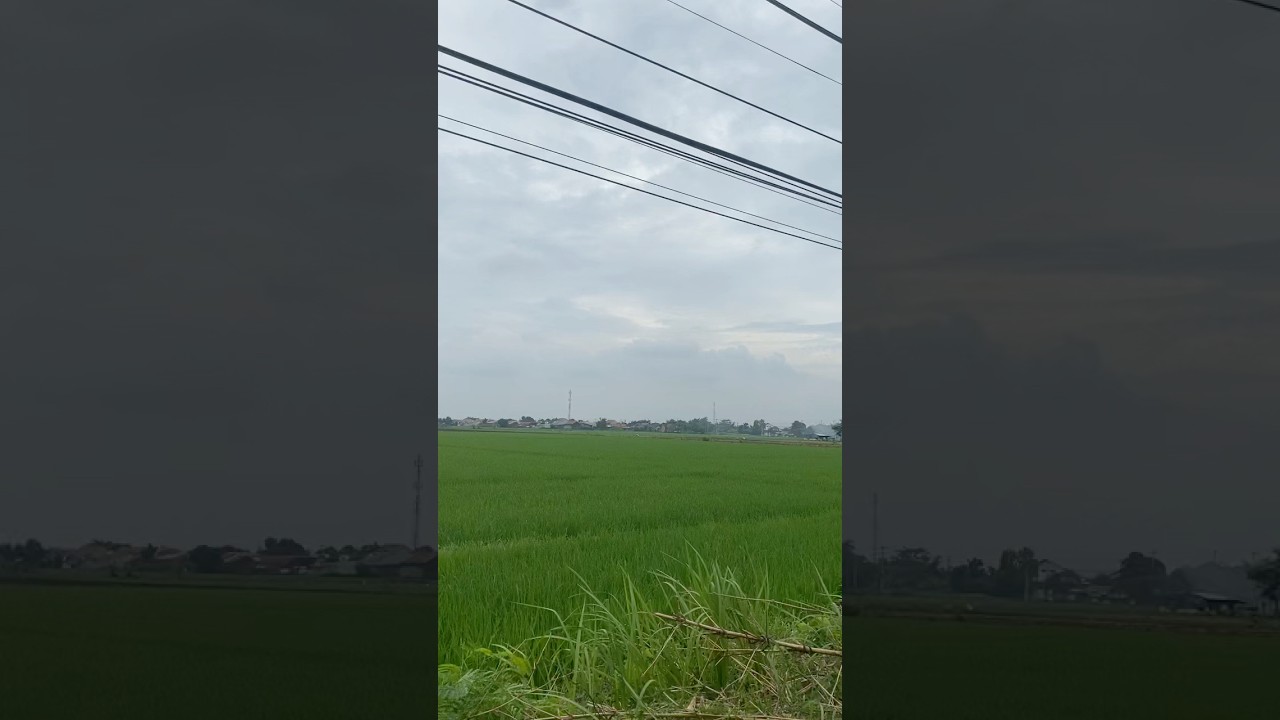 Suasana pagi desa mejasem 