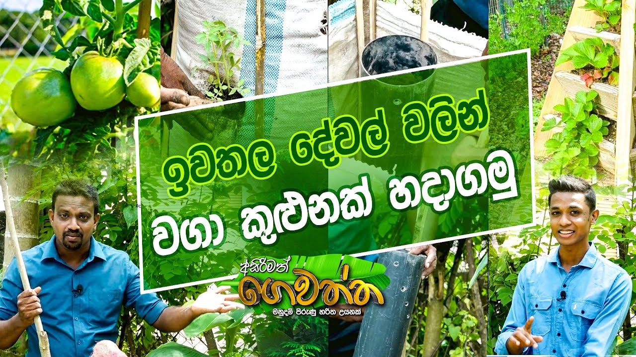 ඉවතල දේවල් වලින්   ලේසියෙන්ම වගා කුළුනක් හදාගමු | Asirimath gewatta | 2022.11.26