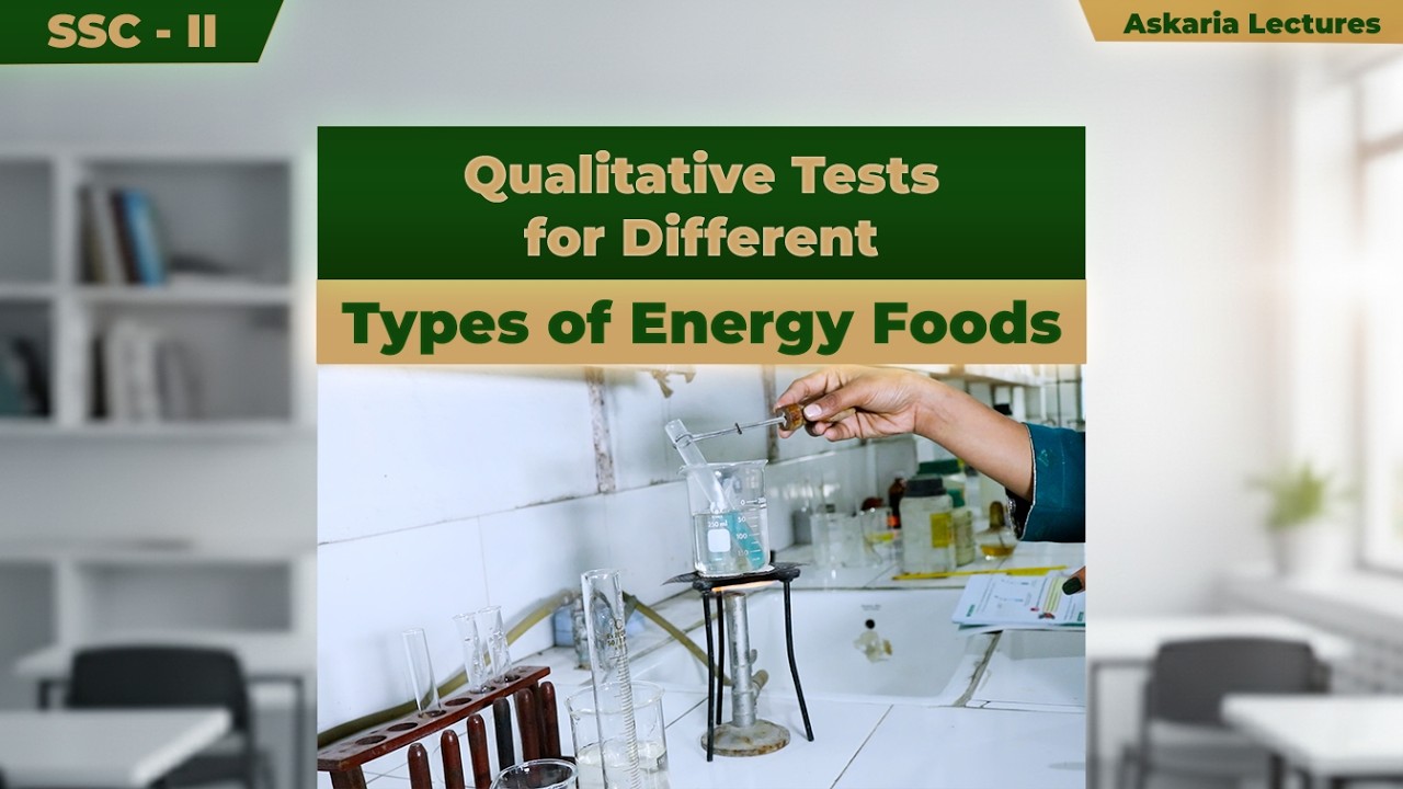 Qualitative Tests for Different Types of Energy Foods | Sadia Hidayat