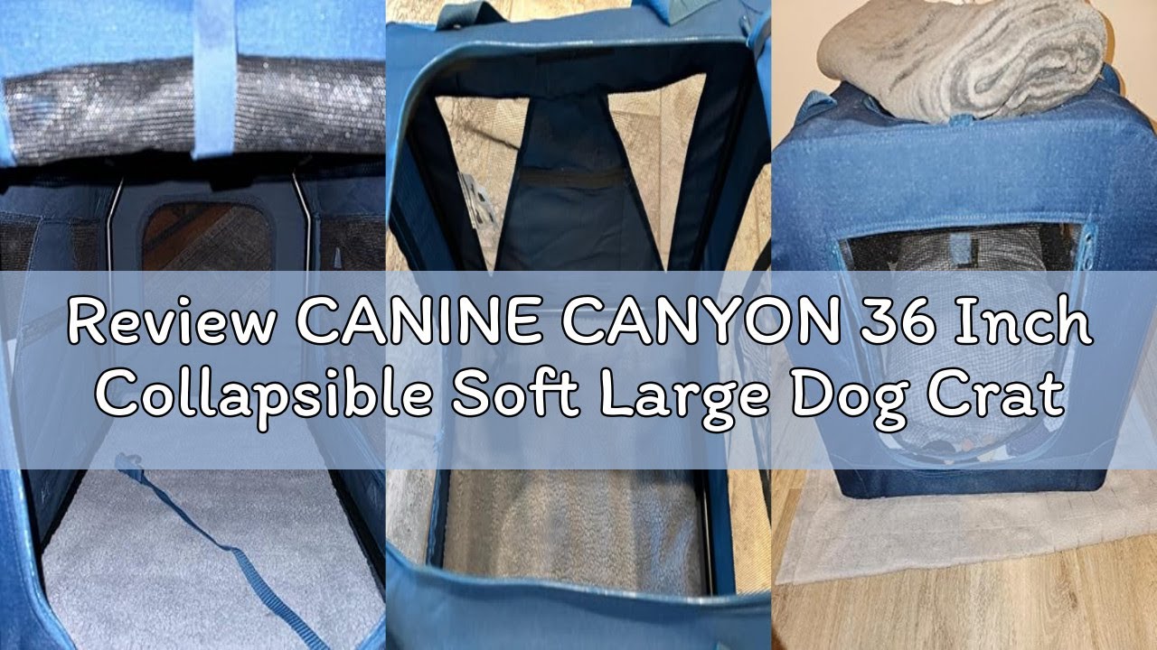 Review CANINE CANYON 36 Inch Collapsible Soft Large Dog Crate, 3 Door Portable Dog Crates for Large