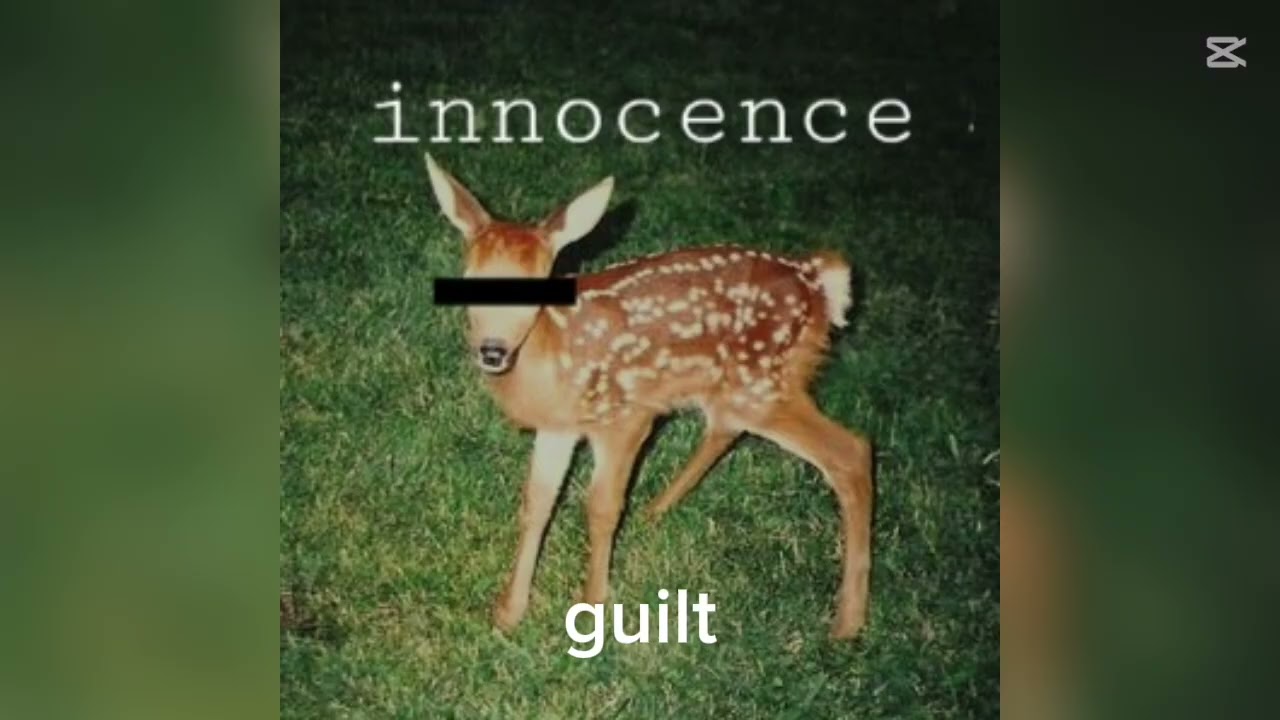 guilt