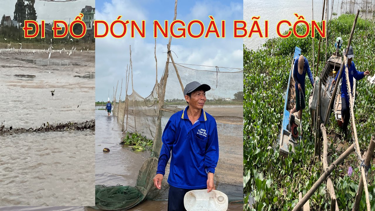 # Đổ dớn bắt cá ngoài bãi cồn