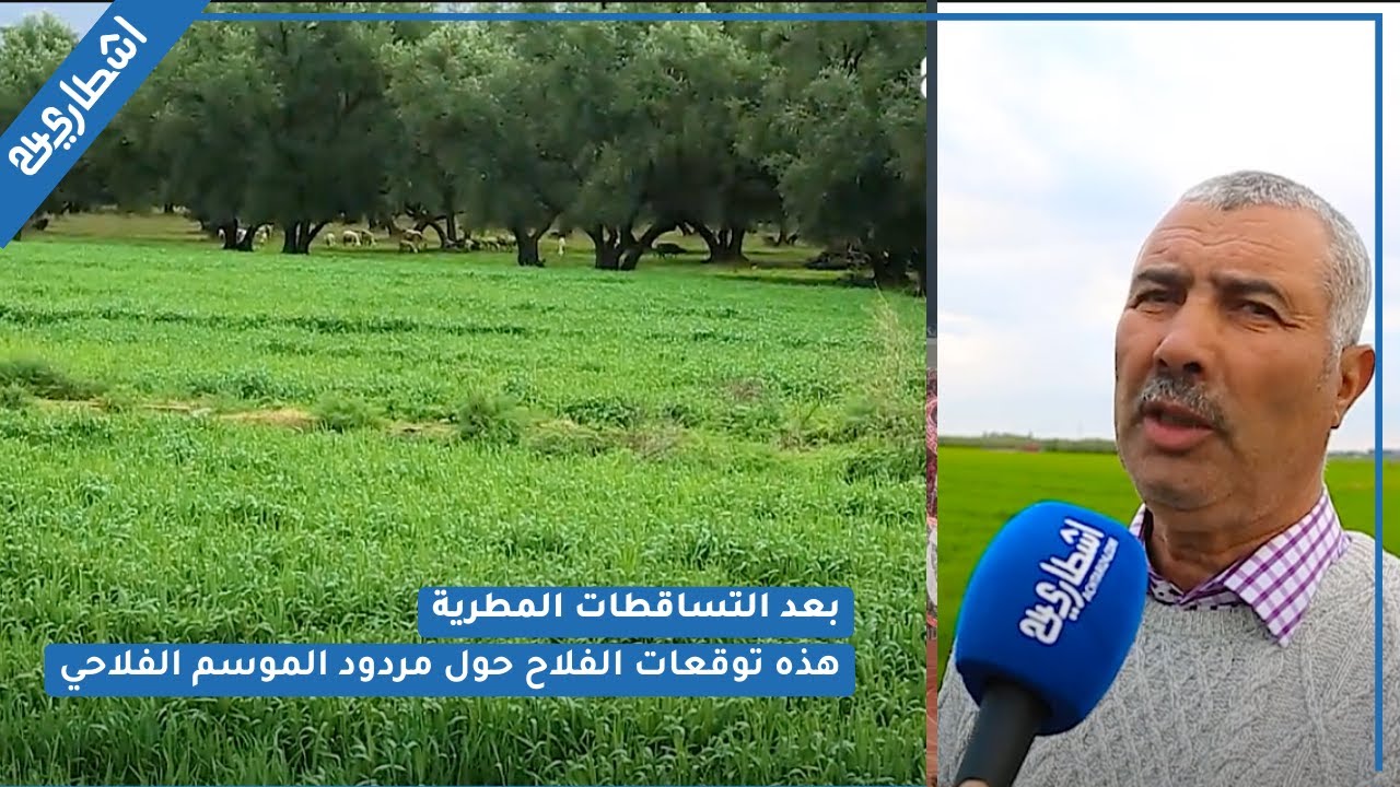 بني ملال: بعد التساقطات المطرية هذه توقعات الفلاح حول مردود الموسم الفلاحي