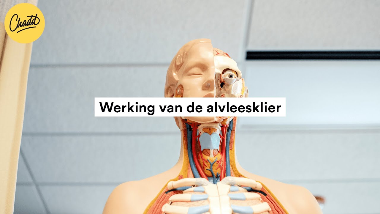 De werking van de alvleesklier - Mr. Chadd