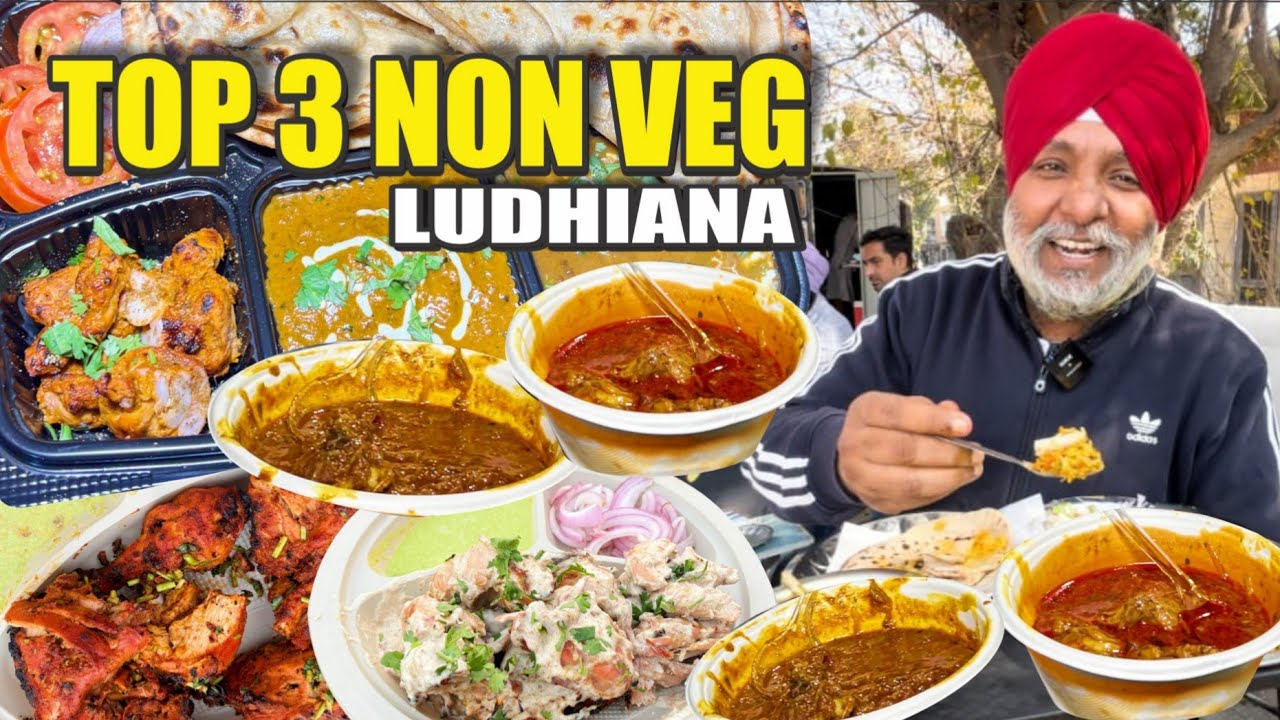 Nonveg Food Tour Punjab | Tandoori Pe Tandoori Free | Best BBQ | Chicken |
