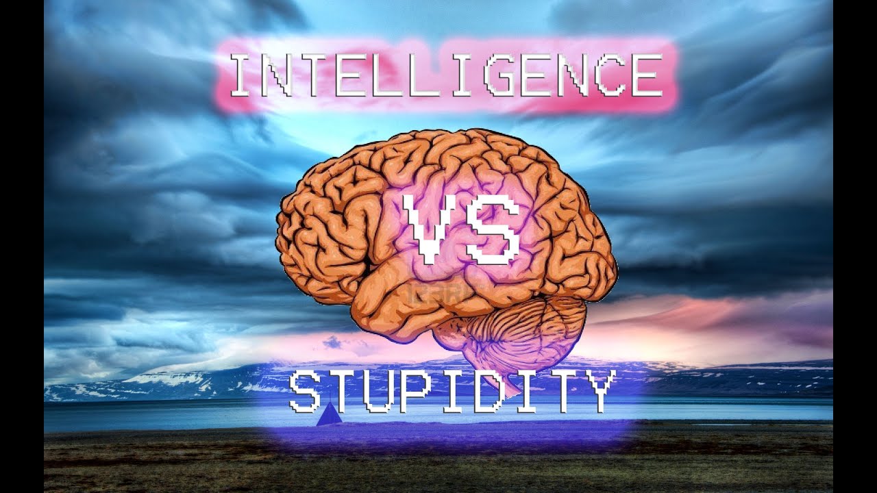 Intelligence vs Stupidity