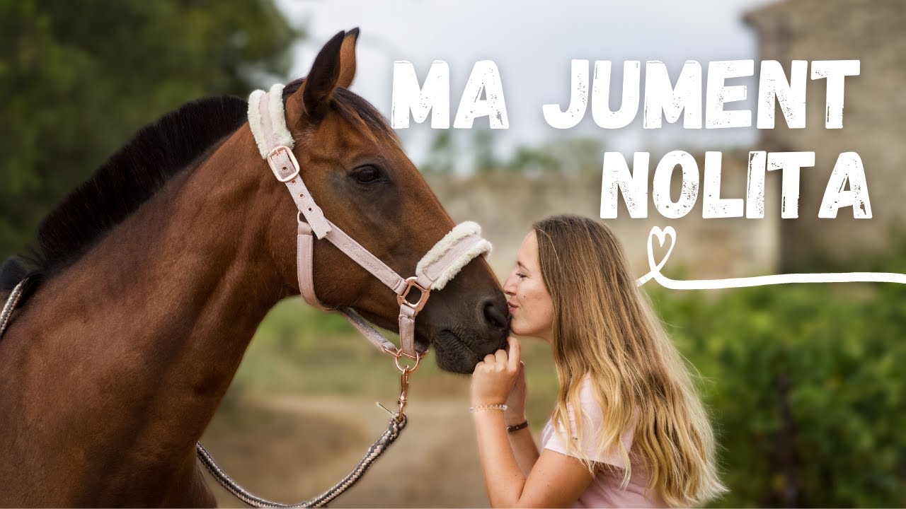 PRÉSENTATION DE MA JUMENT - Nolita Première 👑